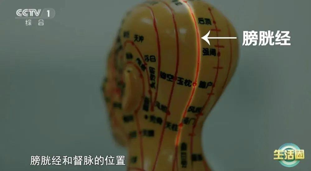 康问题 护发与健康小贴士快收藏冰球突破不